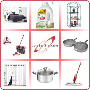 Subasta Lote 225P30V03/24 hogar