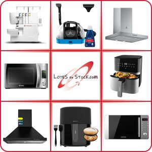 Subasta Lote 909P50V08/13 electrodoméstico